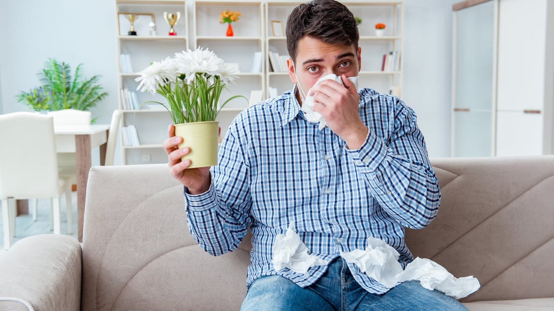 5 Pollutants That Cause Indoor Allergies